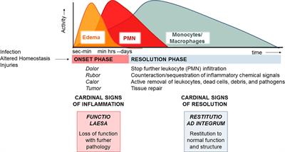 Roles, Actions, and Therapeutic Potential of Specialized Pro-resolving Lipid Mediators for the Treatment of Inflammation in Cystic Fibrosis